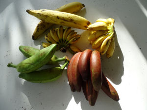 Bananen