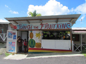 Bingi the Fruitking