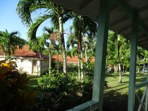 DSC02613
