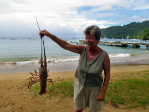 Lobster