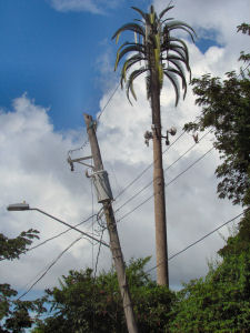 Mobilfunkmast-1
