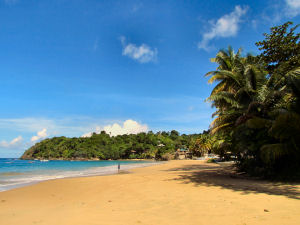 Strand in Castara1